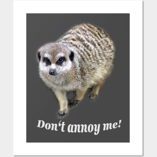 Don't annoy me! Posters and Art